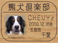 �`�j�n����̂a�k�n�f�ւf�n�I